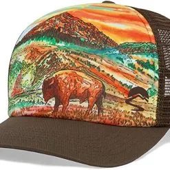 Sunday Afternoons Artist Series Trucker Hats -CLUBS Shop BisonSunset
